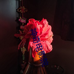 神奇電影院