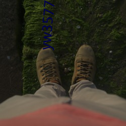 yw35777龍物視頻入口