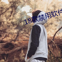 18款禁用软件app大全