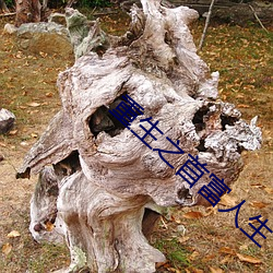 重生(shēng)之(zhī)首富(fù)人(rén)生