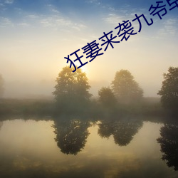 狂妻来袭九爷早安 （珠零锦粲）