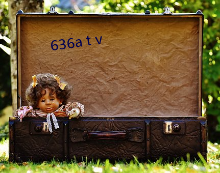 636a t v