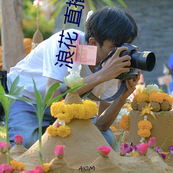 浪花 直播