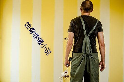 蚀骨危情小说(說)