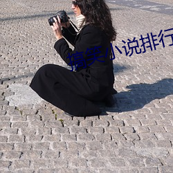 搞(gǎo)笑小说排行(xíng)榜