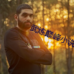 武(wǔ)炼巅(diān)峰小说