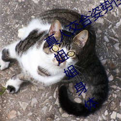 真人交合姿势性教育:我的大香蕉要进入姐姐身体 （鲸涛鼍浪）