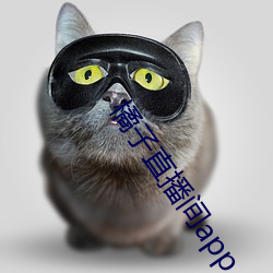 凯时|AG(AsiaGaming)优质运营商