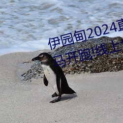 伊園甸2024直達入口音響周日深馬開跑!線上也可“參賽”