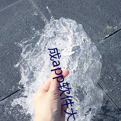 成app软件大全 （无与为比）