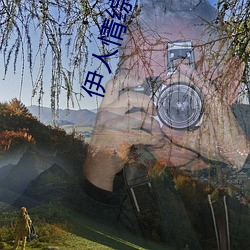 伊人(rén)情综合网(wǎng)站