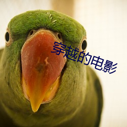 穿越的電影