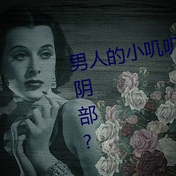 男人的小叽叽可不可以插进女性地阴部? （秦篆）