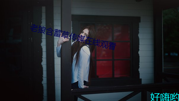 老狼(狼)含蓄草传媒(媒)在线(線)观看