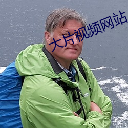 大片视频(pín)网站