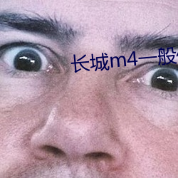 长城m4一般什么档次人买