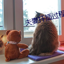 夫妻扡插過程