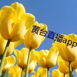 金年会 | 诚信至上金字招牌