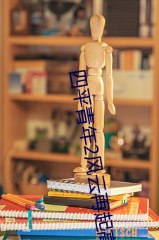 四平青年2风云再起高清免 （鸢肩羔膝）