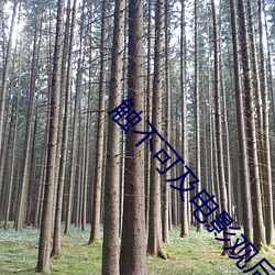 触不(不)可及电影观后感英(英)文(文)