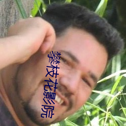 攀枝花影院 （应天顺民）