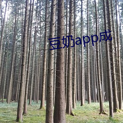 豆奶app成