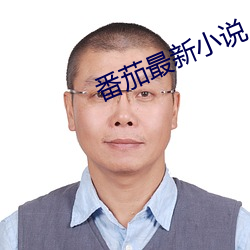 番茄最新小說