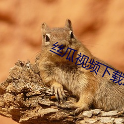 丝(sī)瓜视频下(xià)载APP黄