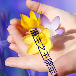 重生之王牌军妻