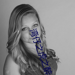 湾(灣)仔(仔)之虎(虎)之(之)醉生(生)梦死粤语版 下(下)载