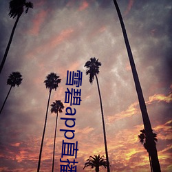尊龙凯时-人生就是搏!