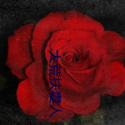 大荒扶妻人