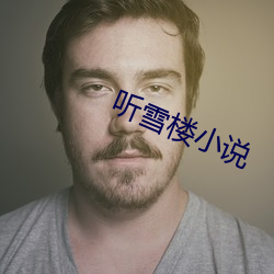 听(聽)雪(雪)楼(樓)小说(說)