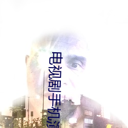 电视剧手机演员表 （群而不党）