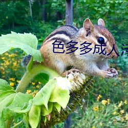 色多多成人污污APP （强记博闻）