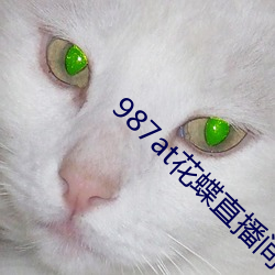 金年会 | 诚信至上金字招牌