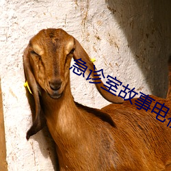 急诊室故事电视剧在线观看