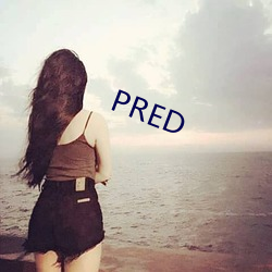 PRED （田连阡陌）