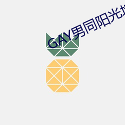 GAY男同阳光地带 （江湖骗子）