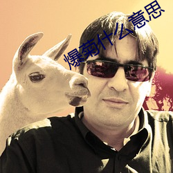 爆菊什么意思