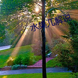 水果兀解說