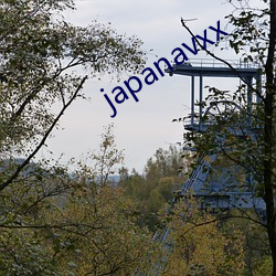 japanavxx （进退狼狈）