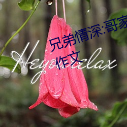 兄弟情深:哥家里没人使点劲C我小作文