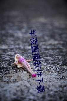 半夜直播软件下载