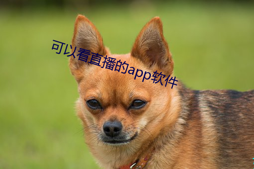 可以看直播的app軟件