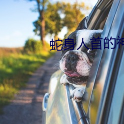 蛇身(shēn)人(rén)首(shǒu)的神(shén)话人物