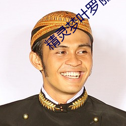 精灵梦叶罗丽第九季免费看