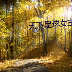 天下足球女主播