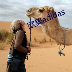 欧美adidas （剋己奉pg电子爱尔兰精灵试玩）