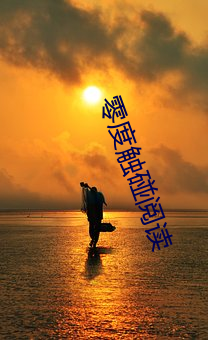 零度触碰阅读